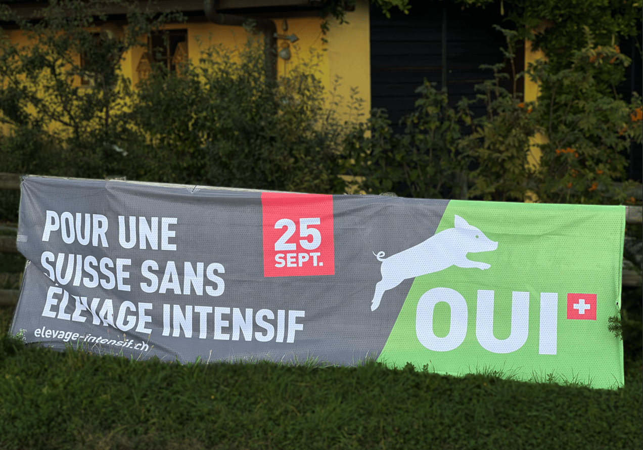 Blogotheque Meaning Rejet de l’initiative populaire contre l’élevage intensif en Suisse ...